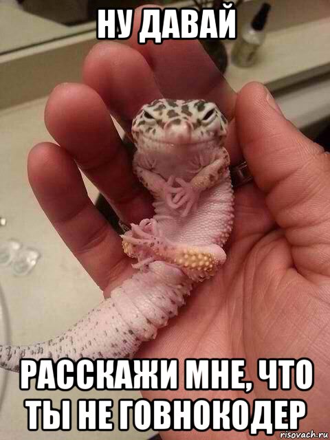 gekkon-nudavay_113566903_orig_